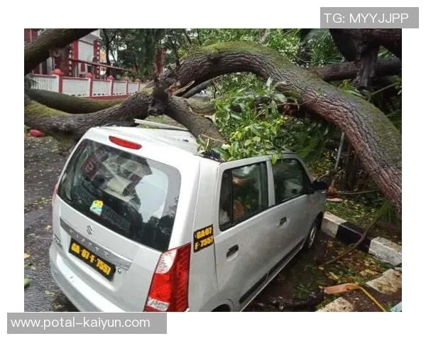 中央海岸与西部连的激烈对决分析及比赛前瞻 中央海岸与西部连的激烈对决分析及比赛前瞻