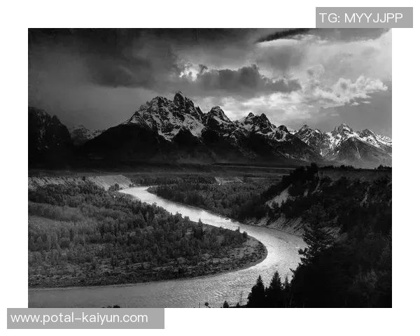 亚当斯的传奇人生与科学探索之旅揭示人类智慧的无限可能 亚当斯的传奇人生与科学探索之旅揭示人类智慧的无限可能